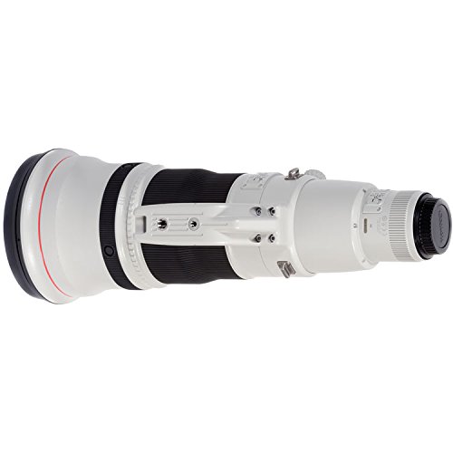 Canon EF600mm f/4L is II USM Lens : Amazon.in: Electronics
